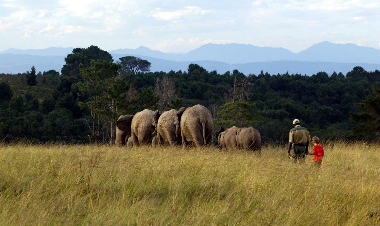 Knysna Elephant Park Lodge Plettenberg Bay Exterior photo